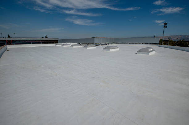 Best Gutter Installation and Repair  in Fremont, OH