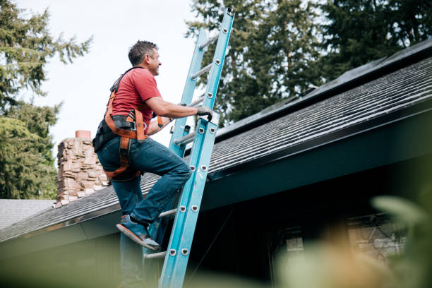 Best Roof Coating and Sealing  in Fremont, OH