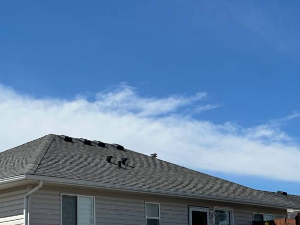 Best Skylight Installation and Repair  in Fremont, OH